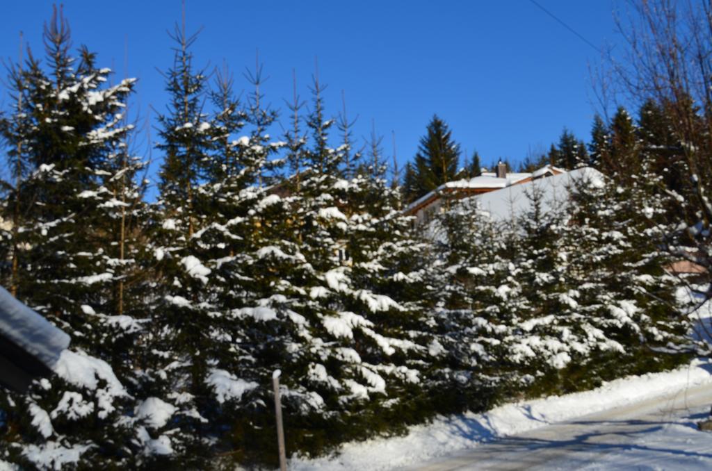 Alpengasthof Dollerhof 호텔 압티나우 외부 사진